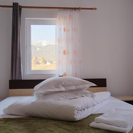 Hotel Garofita Pietrei Craiului à Peştera Extérieur photo