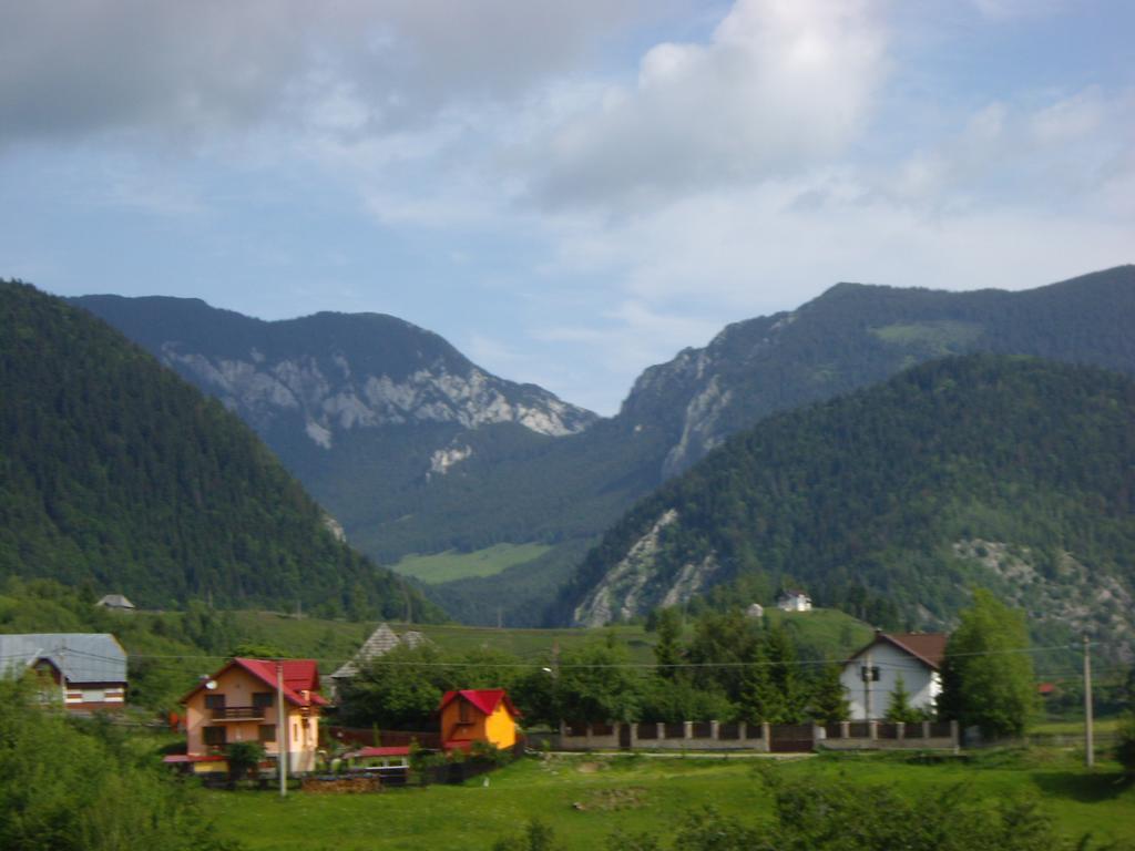 Hotel Garofita Pietrei Craiului à Peştera Extérieur photo