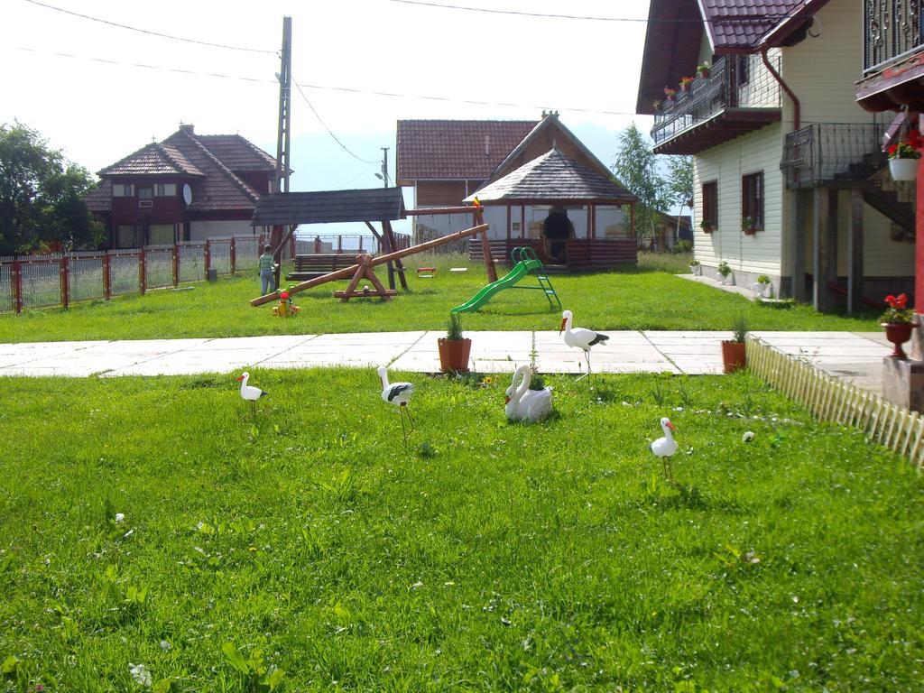 Hotel Garofita Pietrei Craiului à Peştera Extérieur photo